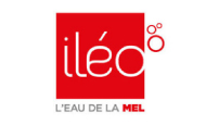 Ileo